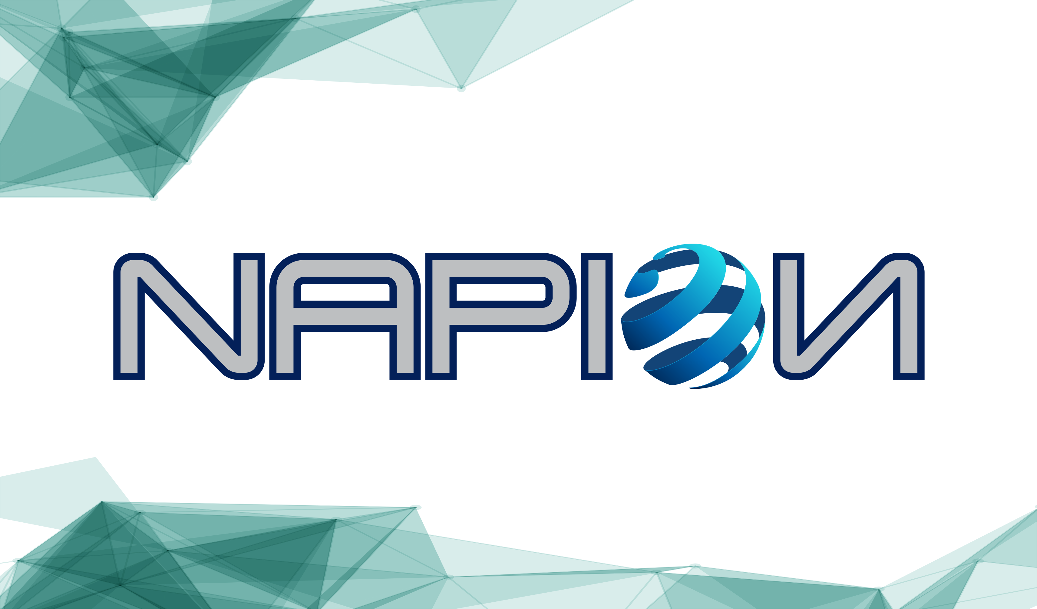 Napion-logo.png